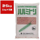 緑肥 ライムギ ハルミドリ 5kg (1kg×5袋) カネコ種苗 緑肥ライ麦 緑肥 ライ麦 緑肥 種 ライ麦 種 種子 ライ麦 種子 緑肥 種 緑肥 種子 麦 種 麦 種子