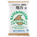 シロカラシ 地力 10kg (1kg×10袋) カネコ種苗 景観用緑肥 緑肥種 送料無料 代金引換不可