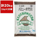 バミューダグラス 20kg (1kg×20袋) カネコ種苗 種 芝 種 芝生 種 西洋芝 種 種子 芝 種子 芝生 種子 西洋芝 種子 芝の種 芝生の種 西洋芝の種 暖地型 緑化用
