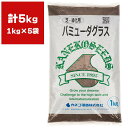 バミューダグラス 5kg (1kg×5袋) カネコ種苗 種 芝 種 芝生 種 西洋芝 種 種子 芝 種子 芝生 種子 西洋芝 種子 芝の種 芝生の種 西洋芝の種 暖地型 緑化用
