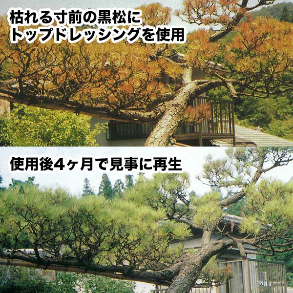 肥料 トップドレッシング 2.3kg マルタ小泉 肥料 バラ 肥料 樹木 肥料 果樹 肥料 ...