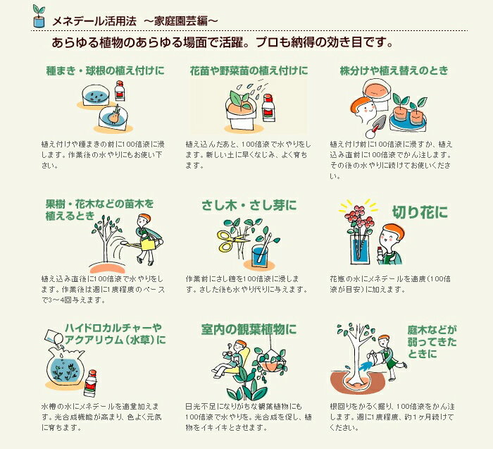 メネデール 2L 植物活力素 活力液 3