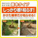 e-hanas2:10007435のサンプル画像3