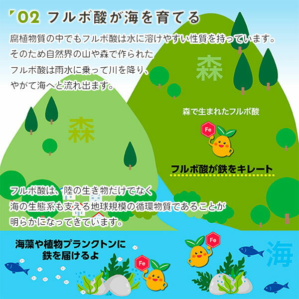 ���ʥǥ�����ե�� 10L PIC-BIO ���Ϻ� ��ʪ ���Ϻ� �ե�ܻ� ���Ϻ� �忢�� ���Ϻ� ��̺��� ���Ϻ� ��ʪ���Ϻ� �ե�ܻ����ϱ� �ե�ܻ� �ھ����ɺ�