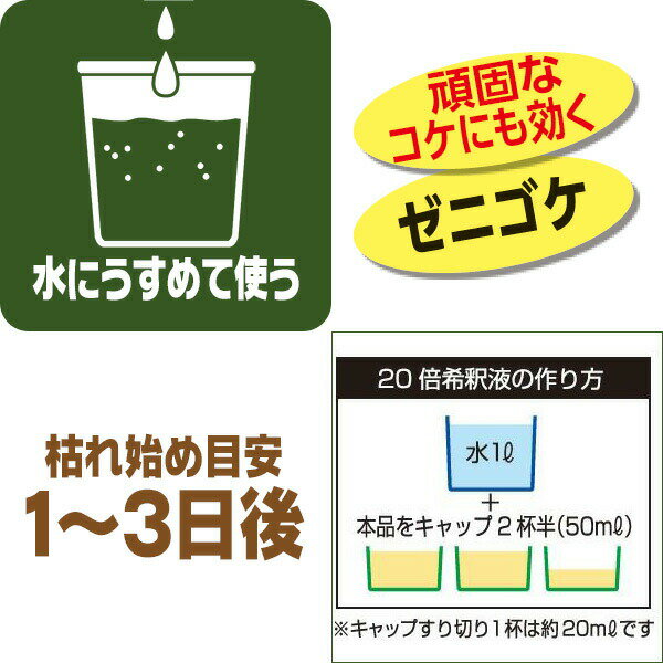 ����� �����ȡ��뤷�ä��긶�� 200ml �쥤��ܡ����� ����� �����ȡ��� ���������� �����༣ ������� ���� ����� ���� ����� ���� ��� ���� �༣