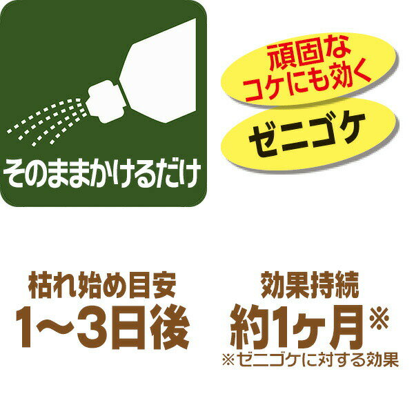 除草剤 コケとーるシャワー 2L×8本 レインボー薬品 除草剤 コケ 駆除剤 除草剤 コケとーる 除草剤 液剤 除草剤 コケ駆除剤 ゼニゴケ 除草剤
