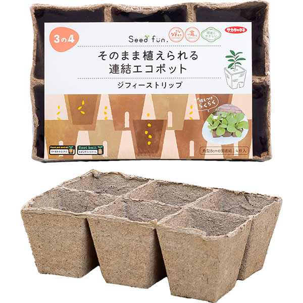 ジフィーストリップ そのまま植えられる連結エコポット 8cm サカタのタネ Seedfun 植えつけらくらく ガーデン用品