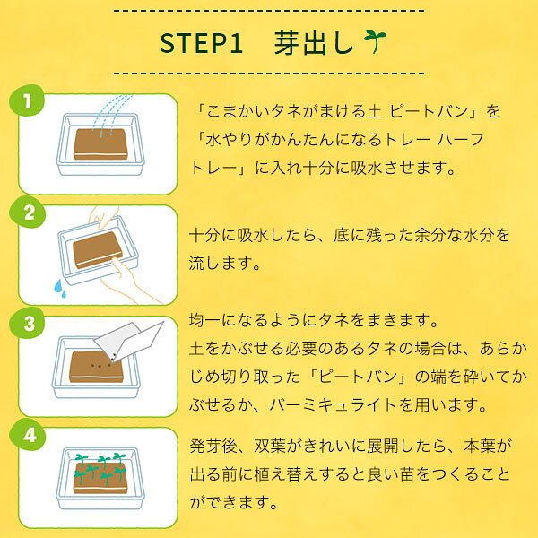タネからはじめる かんたん苗づくりキット サカタのタネ Seedfun 「買う苗」から「...