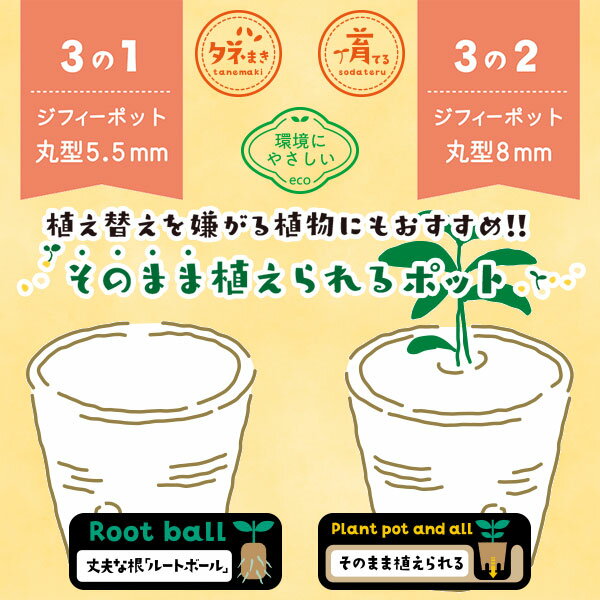 ジフィーポット そのまま植えられるエコポット 8cm 30個入 サカタのタネ Seedfun ...