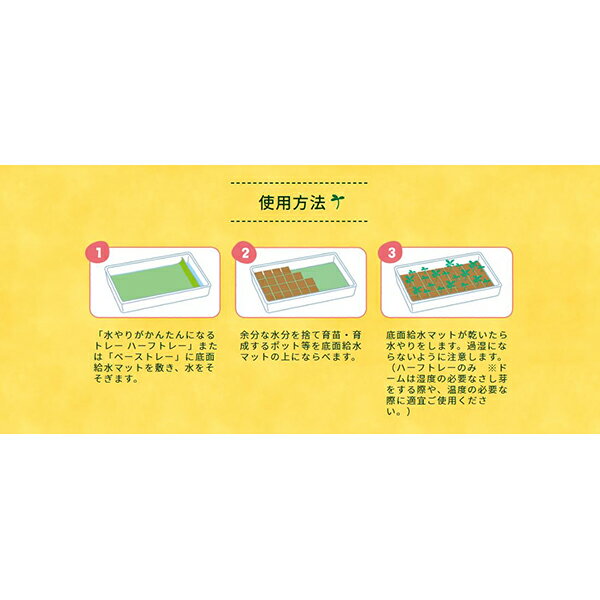 水やりで便利 植物が元気に育つ 底面給水ポットの仕組み 簡単な作り方も大公開 暮らし の