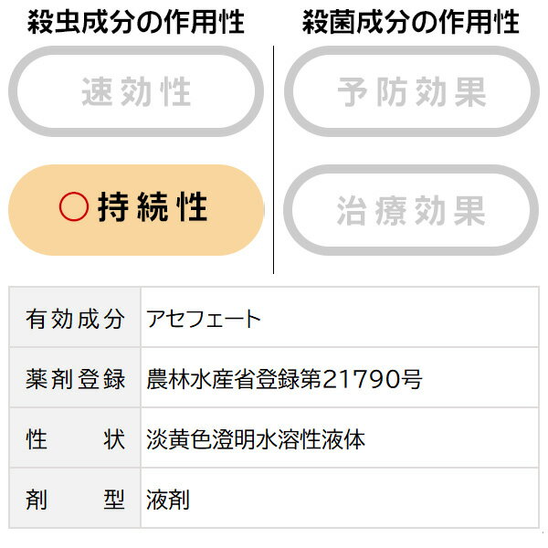 もみじは虫がつきやすい 気を付けたい虫の種類と対策とは わが子に教わる おやこ の関係