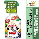 【クーポン配布中】住友化学園芸 殺虫殺菌剤 自然派志向 ベニカマイルドスプレー 1000ml ポイント10倍