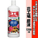 【期間限定クーポン配布中】住友化学園芸 液体肥料 花工場 原液 1200ml 【期間限定クーポン配布中】住友化学園芸 液体肥料 花工場 原液 1200ml