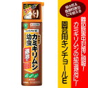 【住友化学園芸】【殺虫剤】園芸用キンチョールE　420ml