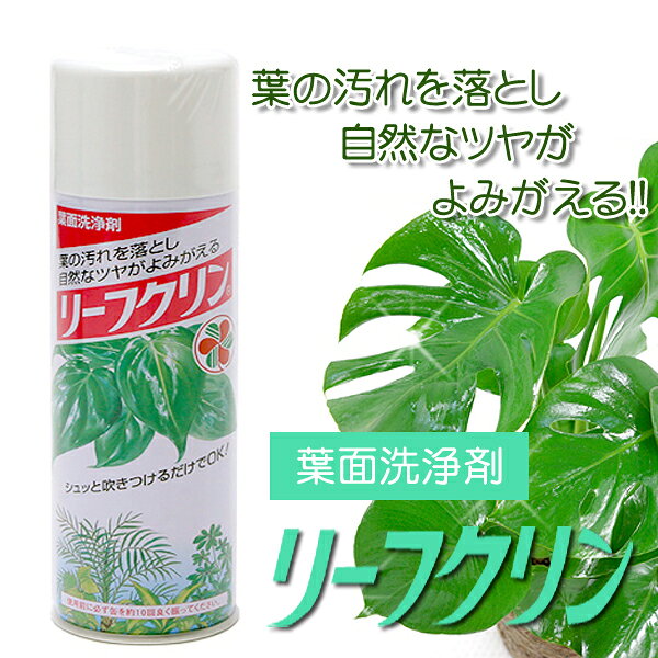 【クーポン配布中】住友化学園芸 葉面洗浄剤 リーフクリン　220ml