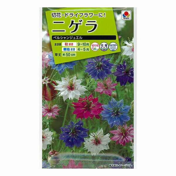 タキイ種苗 花種 ニゲラ ペルシャンジュエル M