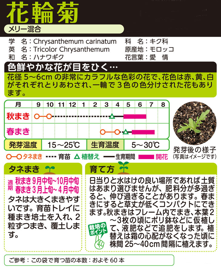 タキイ種苗 花種 花輪菊 メリー混合 M