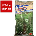 芝種 ワセフドウ 5kg (1kg×5袋) タキイ種苗 芝生の種 芝の種 芝 種 芝 種子 芝生 種 芝生 種子 牧草 種 牧草 種子 芝生 業務用 種子 芝 業務用 種