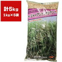 芝種 タキイジャイアント 5kg (1kg×5袋) タキイ種苗 芝生の種 芝の種 芝 種 芝 種子 芝生 種 芝生 種子 牧草 種 牧草 種子 芝生 業務用 種子 芝 業務用 種