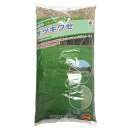インターメディエイトライグラス サツキワセ 1kg タキイ種苗 タネのタキイ 芝種