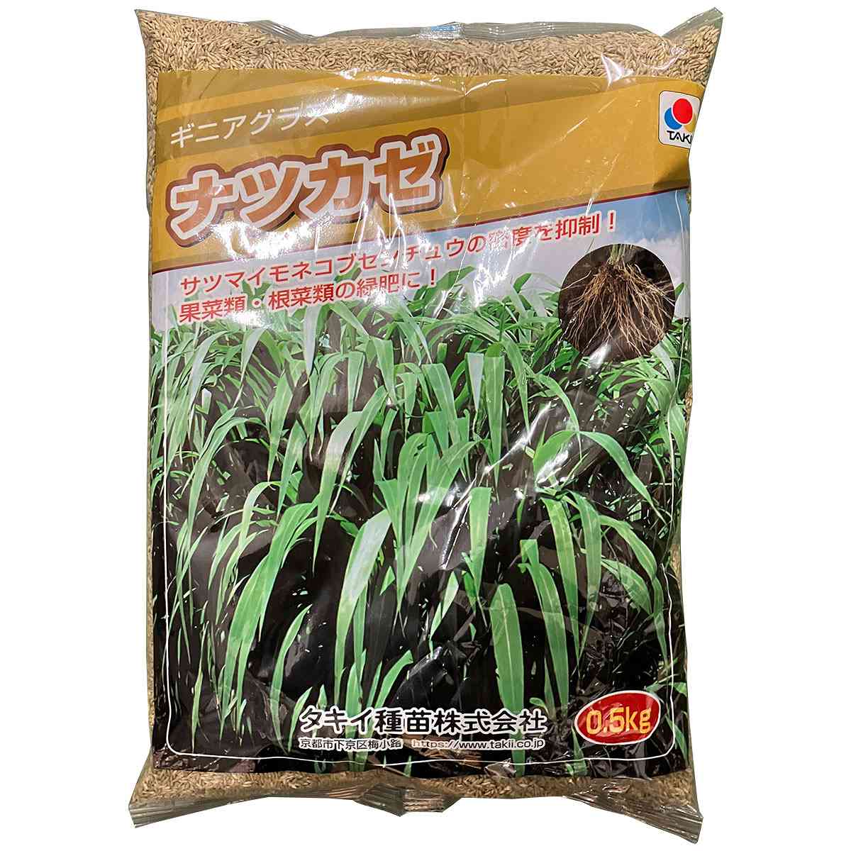 乐天商城 - ギニアグラス ナツカゼ 0.5kg タキイ種苗 緑肥 種子 牧草 種子 センチュウ 密度抑制 早生 緑肥 種子 緑肥の種 緑肥の種子 緑肥作物 種子