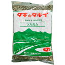 緑肥 ソルガム ニューアーリースマック 1kg タキイ種苗 緑肥 種 緑肥 種子 緑肥 業務用 種子 緑肥 業務用 種 緑肥の種 ソルガム 種 ソルガム 種子