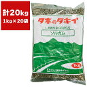緑肥 ソルガム ニューアーリースマック 20kg (1kg×20袋) タキイ種苗 緑肥 種 緑肥 種子 緑肥 業務用 種子 緑肥 業務用 種 緑肥の種 ソルガム 種 ソルガム 種子