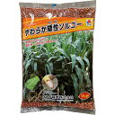 ソルガム やわらか矮性ソルゴー 1kg タキイ種苗 タネのタキイ 緑肥 種子 ソルゴー 種 緑肥 種 ソルゴー 種子 緑肥の種 おとり植物 モロコシ 種