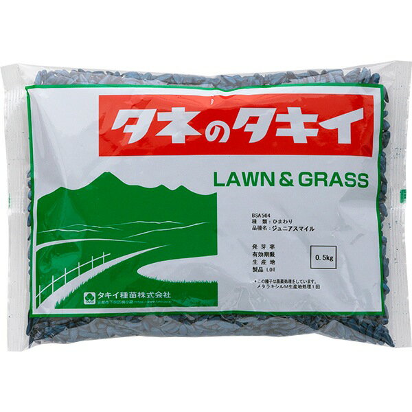 種 ジニア（百日草）ダリア咲スカーレットフレーム 1袋