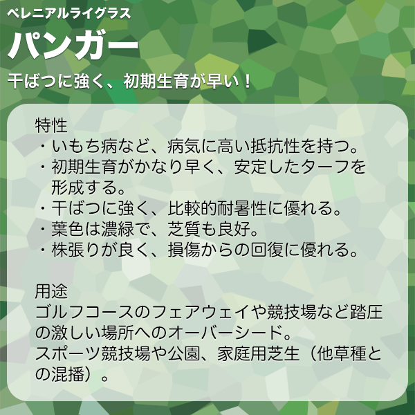 �ڥ�˥���饤���饹 �ѥ󥬡� 1kg ���������� �Ǽ� �� �� �� ��� ���� �� ���� ��� �Ǥμ� �����μ� ���� �� ���� ��� �� ��̳�� ��