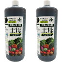 野菜の活力剤 土母 ベジタブル 1L×2本 環境セラピィ 土母 (どうも) 野菜用 植物 活力剤 植物活力剤 野菜 活力液 野菜活力液 土母 野菜用 活力液 どうも 活力液