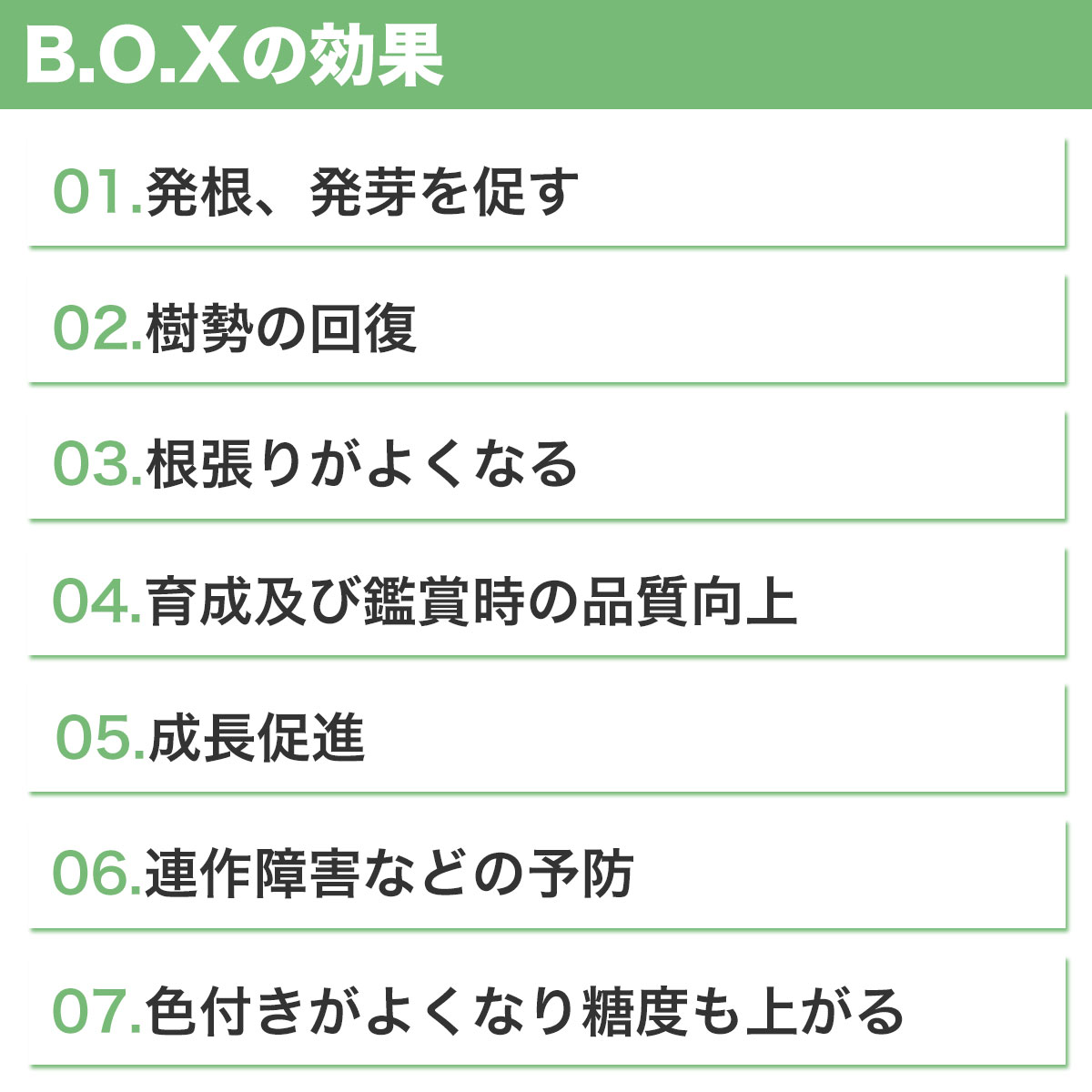 ˡ�͸��� ��ʪ�ѻ��Ƕ���� ®���������� �ۥ��Ǵ�ͭ B.O.X �ӡ��������å��� 10L��20Ȣ �ݵȻ��� BOX ���Ƕ��� ȯ�� ȯ�� ¥�� ®�� û���� ���� ��̳��