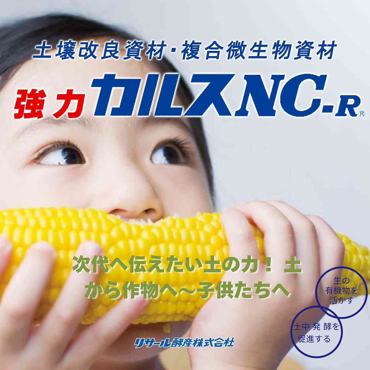 イーハナス楽天市場店の土壌改良資材 強力 粒状カルスNC-R 10kg リサール酵産 土壌改良 カルス NC-R 土壌微生物活性 品質向上 収量増加 農業用資材 家庭園芸 土壌改良剤｜アングル2