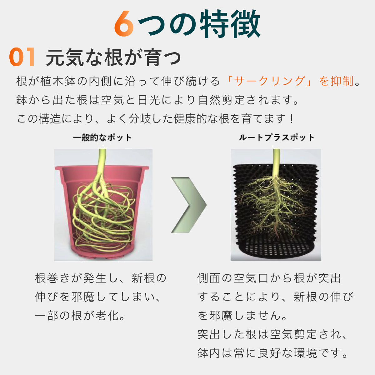 植木鉢 ルートプラスポット ブラック 12L ×50個 南榮工業 鉢 大型 植木鉢 大容量 業務用 園芸用品 農業資材 RootPlusPOT プラスチック鉢