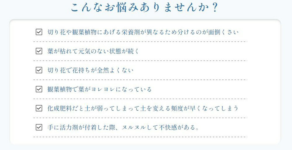 澄花 20L エコ・エネルギーシステム 切花 観葉植物 植木鉢 活力剤 代金引換不可 送料無料 3