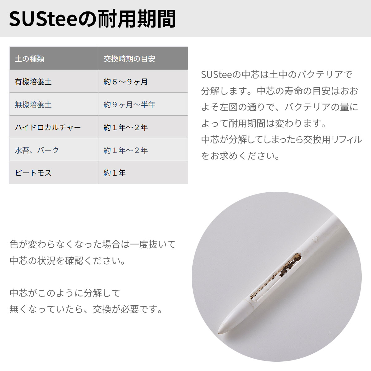 ��������å��� SUS-TEE(�����ƥ���) ��ե��� S������ 2���� C-0014 ����ӥΥ��� 2��3��ȭ�� ��ʪ�ѿ�ʬ�� M