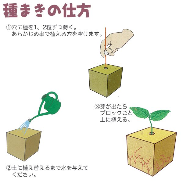 ���å�������֥��å� 60P ���¥ץ饹���å� �ޤ��ڡ���ޤ��˺�Ŭ ���ĥޥå�