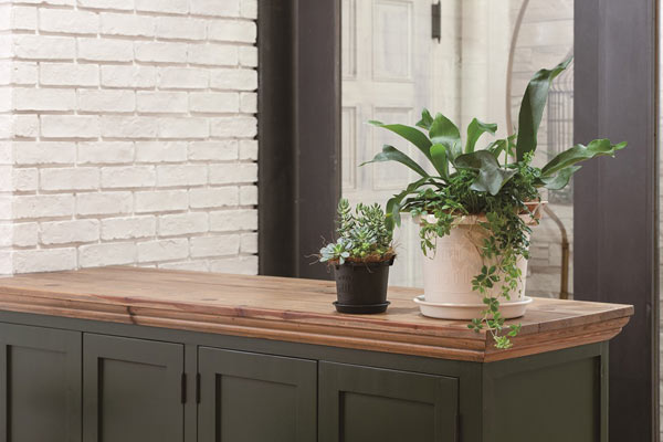 �������ץ졼�� 24�� ���꡼�� ���¥ץ饹���å� ȭ��