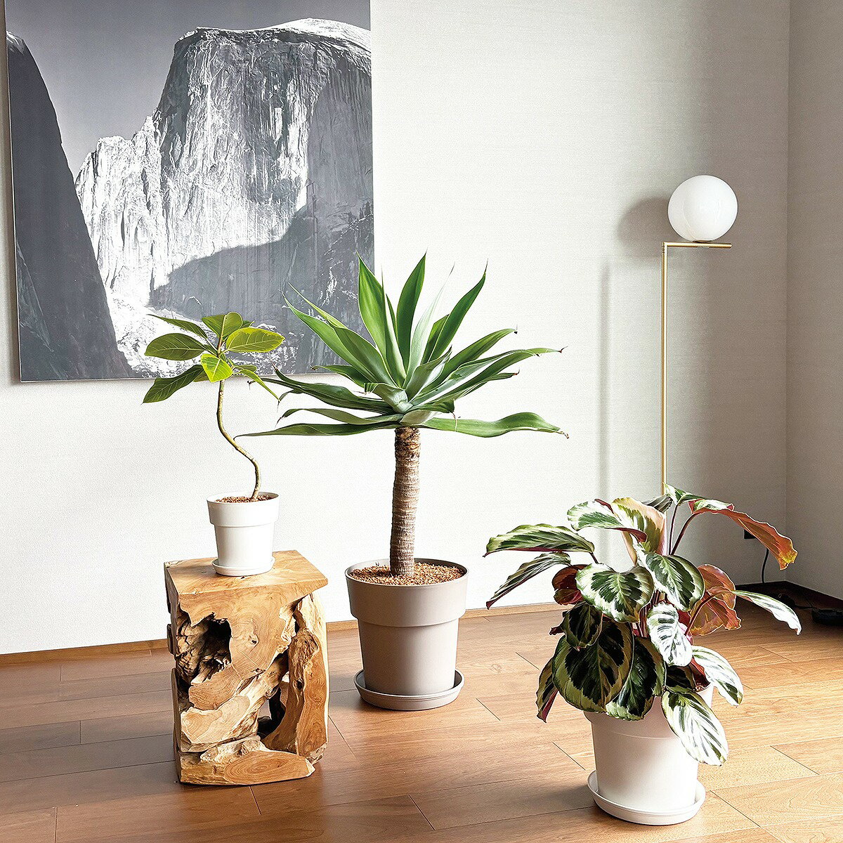 アイコンプレート 15型用 大和プラスチック プラスチック 受け皿 鉢 受け皿 鉢 鉢皿 鉢 鉢受け皿 受皿 鉢皿 丸型 おしゃれ 鉢皿 インテリア 鉢皿