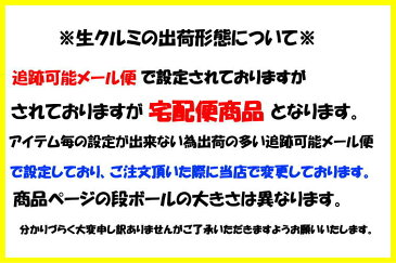 【送料無料】【※一部地域は送料かかります※】【通常便(宅配便)】生クルミ! 1kg(500×2袋)アメリカ カリフォルニア LHP 料理 製菓 胡桃 無添加ナッツ オメガ3脂肪酸【通常便(宅配便)】