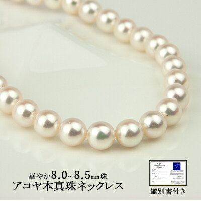 p[ lbNX AR {^ 8.0`8.5mm ӕʏt (6a) fB[X WG[ ʔ Mtg J jbcj yNX}XW2023zyLDFA_DLz