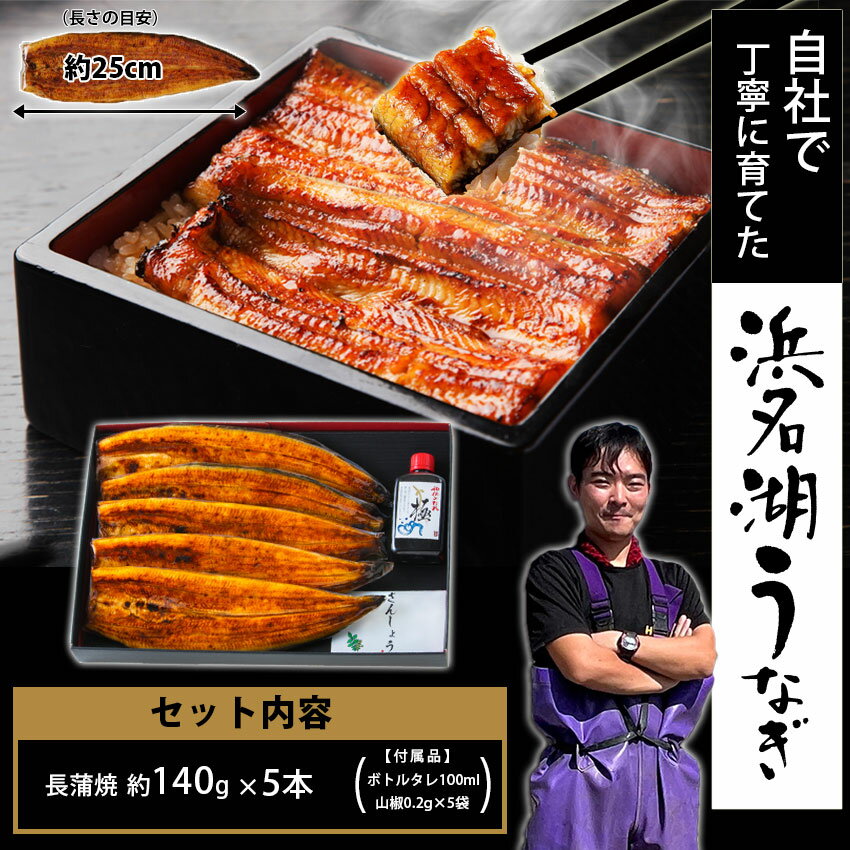 【無添加タレの浜名湖うなぎ】蒲焼 約140g×5尾 約5〜7人前 【送料無料】国産鰻の最高峰　稀少な浜名湖産 ウナギ 産地限定◆添加物不使用 秘伝のタレ◆ 国内産 静岡県産 鰻 ◆贈り物 誕生日 母の日 父の日 お中元 丑の日 プレゼント【レビュー特典あり】 2