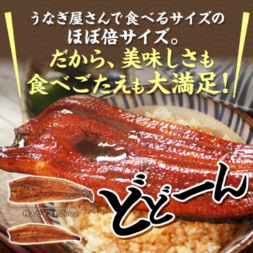 【4月23日-28日限定★ポイント5倍】国産うなぎの最高峰 浜名湖うなぎ　特大200g×2本 約4人前 ギフト【 送料無料 】 浜名湖産 ウナギ 鰻 蒲焼 国内産 静岡県産 本格 お店の味 母の日 花以外 お母さんありがとう 父の日 お父さんありがとう 誕生日プレゼント