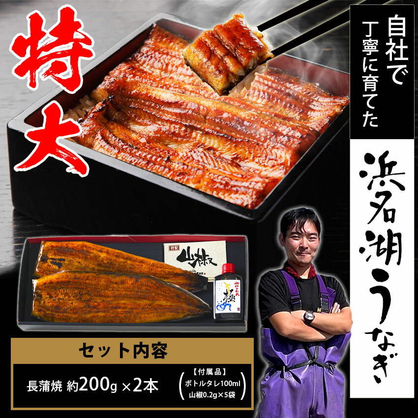 【値下げしました！9300円→8800円】【※まもなく完売】【無添加タレの浜名湖うなぎ】特大蒲焼 約200g×2尾 約4人前 ギフト【送料無料】国産鰻の最高峰　稀少な浜名湖産 肉厚 ウナギ 産地限定 添加物不使用 秘伝タレ 静岡産◆贈り物 お歳暮 プレゼント【レビュー特典あり】