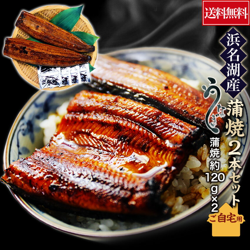 蒲焼き 【無添加タレの浜名湖うなぎ】　長蒲焼 約120g ×2尾 【送料無料】貴重な浜名湖産　産地限定　静岡県産 ウナギ 鰻 蒲焼 国産　国内産 父の日※ご自宅用の為、簡易包装です。