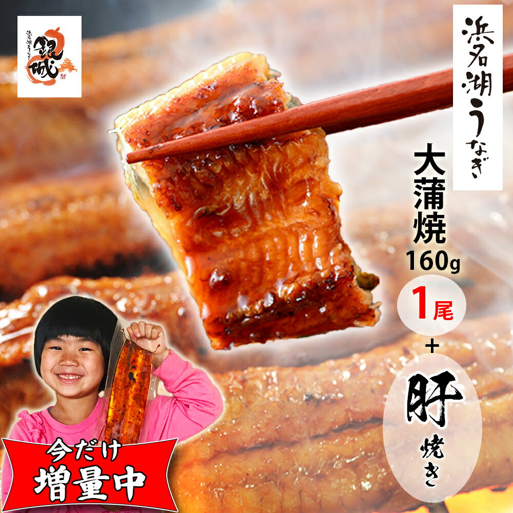 蒲焼き 【無添加タレの浜名湖うなぎ】蒲焼(160g⇒180g増量中）×1尾＋ 肝焼き50g　 約2人前 ギフト【送料無料】産地限定 ウナギ 鰻 蒲焼　国産 国内産 静岡県産 高級 グルメ 誕生日プレゼント 父の日