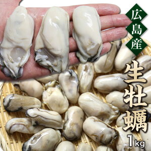 広島県産 冷凍生かき(加熱用) 牡蠣特大2Lサイズ1kg（解凍850g）身も厚く美味しい時期厳選し瞬間凍結 個別凍結で使いやすい 広島産カキ ※ご自宅用なのでのし対応できません。　特大　2L　広島県産