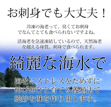 お刺身や塩焼きに!天使の海老1kg箱30/40サイズ(30〜40尾入)天使のえび ※ご自宅用なのでのし対応できません。