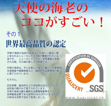 お刺身や塩焼きに!天使の海老1kg箱30/40サイズ(30〜40尾入)天使のえび ※ご自宅用なのでのし対応できません。