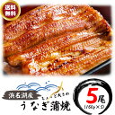 国産うなぎの最高峰 浜名湖うなぎ蒲焼160g×5本 ギフト【 送料無料 】 浜名湖産 ウナギ 鰻 蒲焼 国内産 静岡県産 残暑見舞い 残暑お見舞い 　贈り物 誕生日 感謝 プレゼント